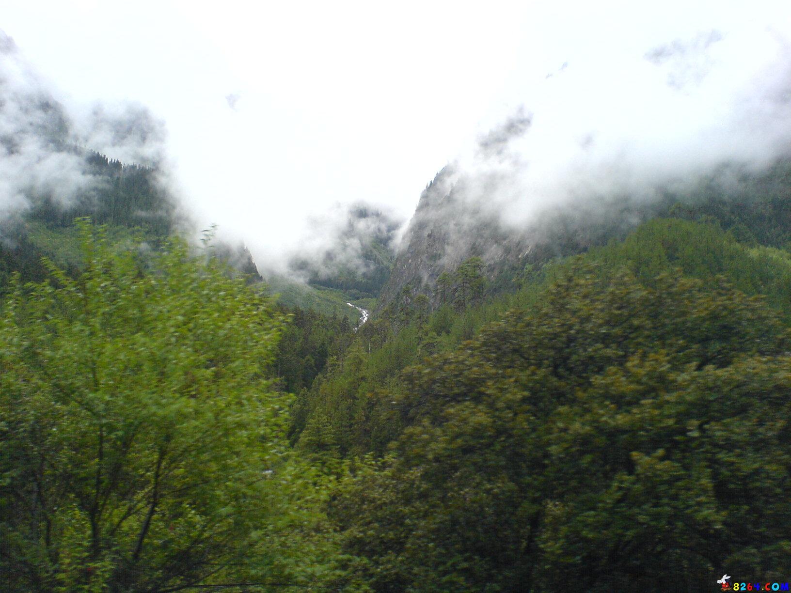 DSC00369.JPG