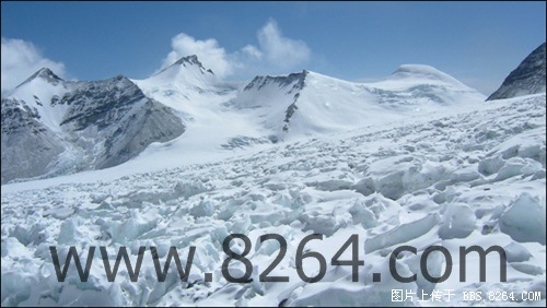 DSCF9010.jpg