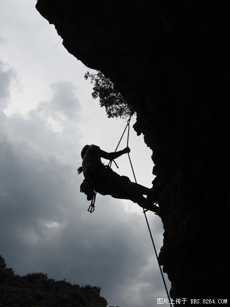 1131370db8a.jpg