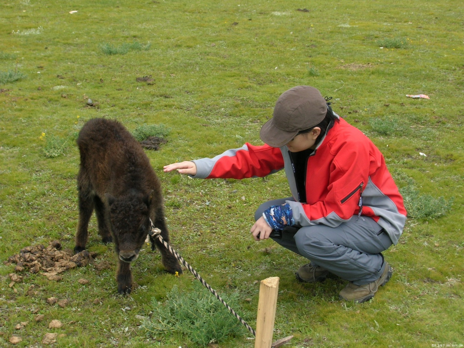 DSCN2239.JPG