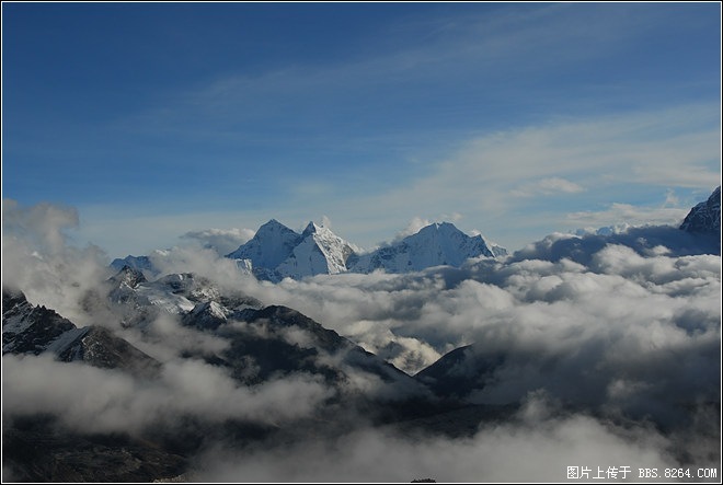 DSC_0474.jpg