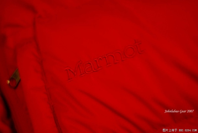 Marmot1.jpg