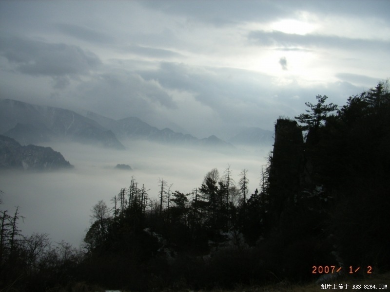 20071205_855f8aad87b8e18071378qtsjLddskPg.jpg