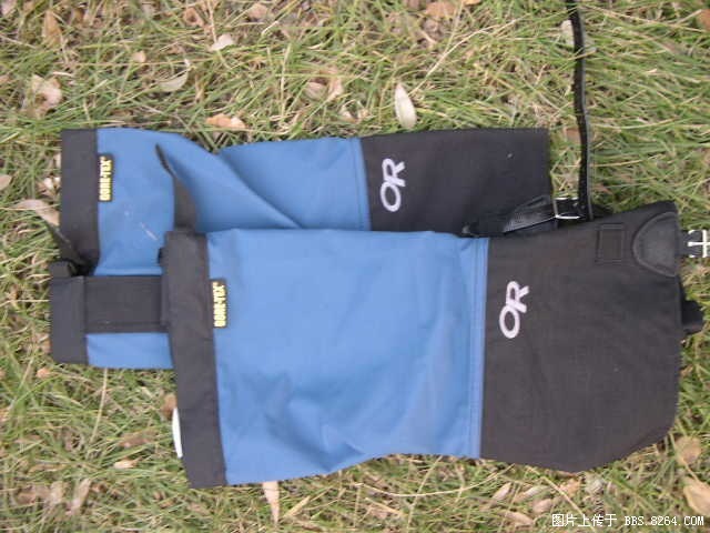 SSCN0332.JPG