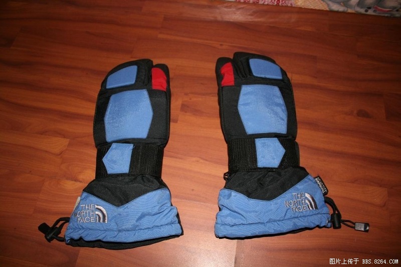 TNFshoutao.JPG