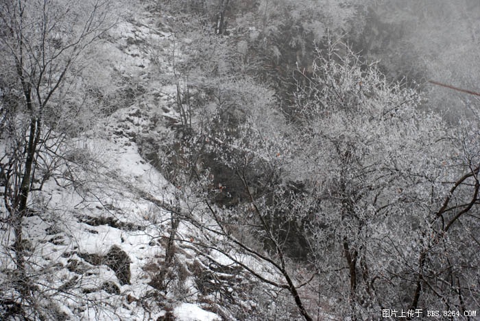 DSC_0060.JPG