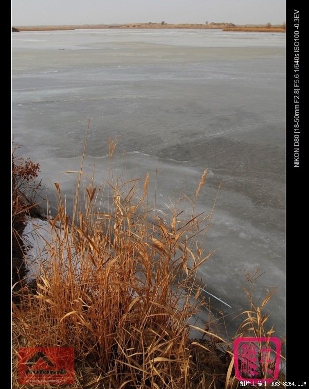 108-6_2.jpg