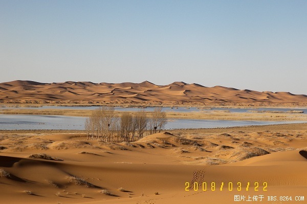 100_8133.jpg
