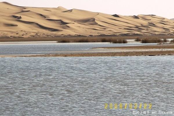 100_8096.jpg