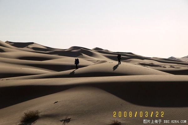 100_8131.jpg