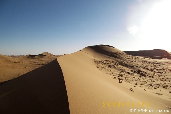 100_8145.jpg