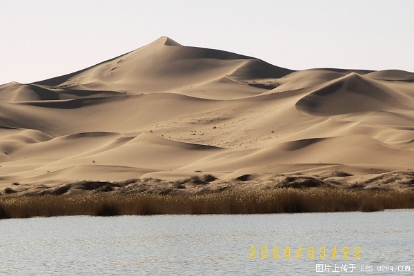 100_8108.jpg