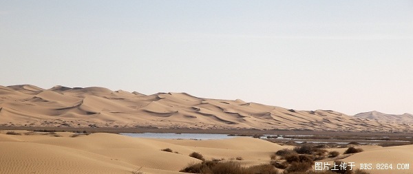 100_8089.jpg