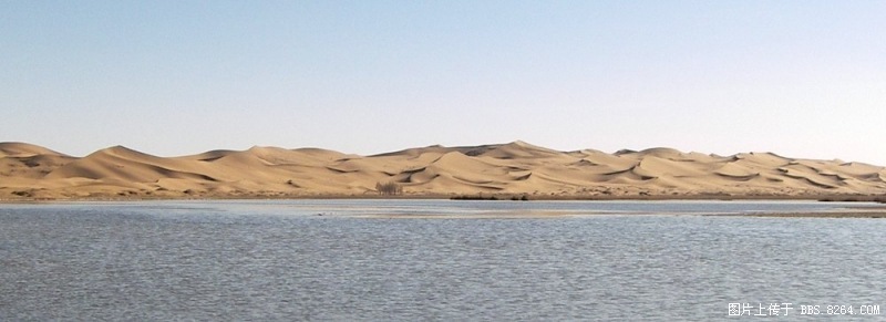 100_8099.jpg