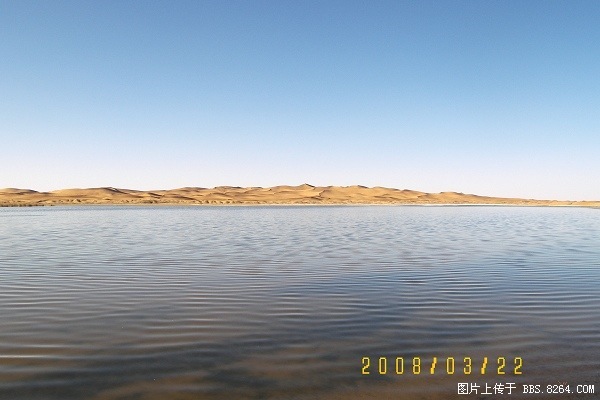 100_8113.jpg