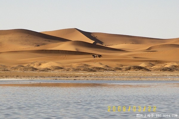 100_8110.jpg