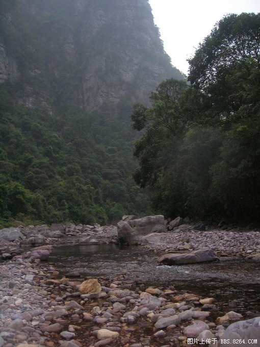 126.JPG