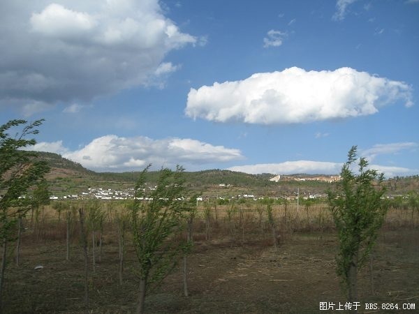 337.jpg