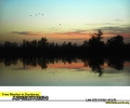 ��ϲ�����ŵ��������ء���1300����Ƭ�����еĹ���