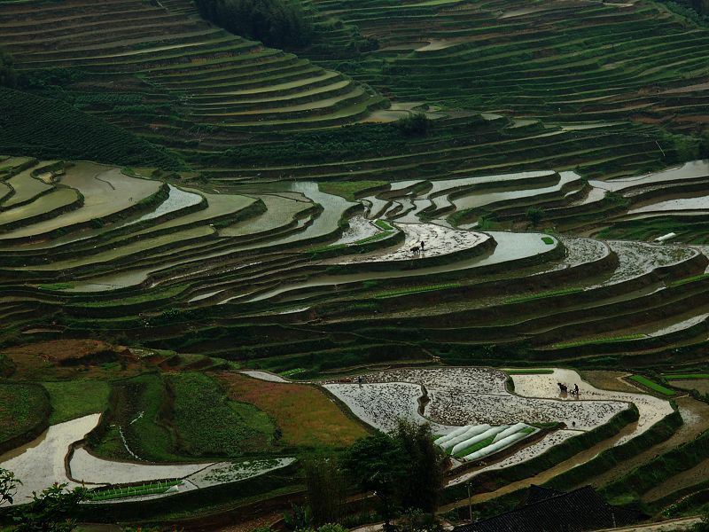 筠连高坎梯田
