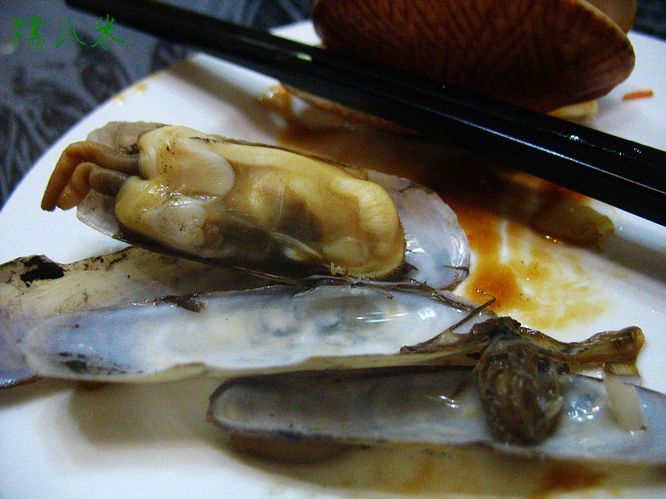 象拔蚌 生吃吧