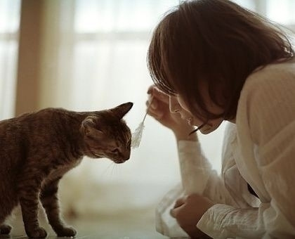 我不会说话你能懂得吗转