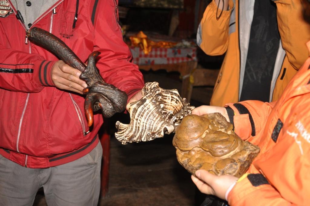 海螺,格聂之心和母鹿角就成了冷古寺的镇寺之宝了.