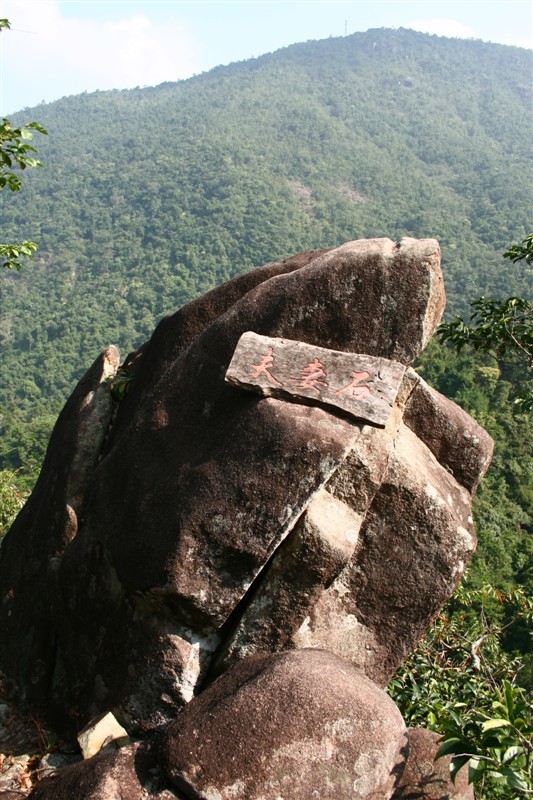 海南昌江霸王岭国家森林公园游记
