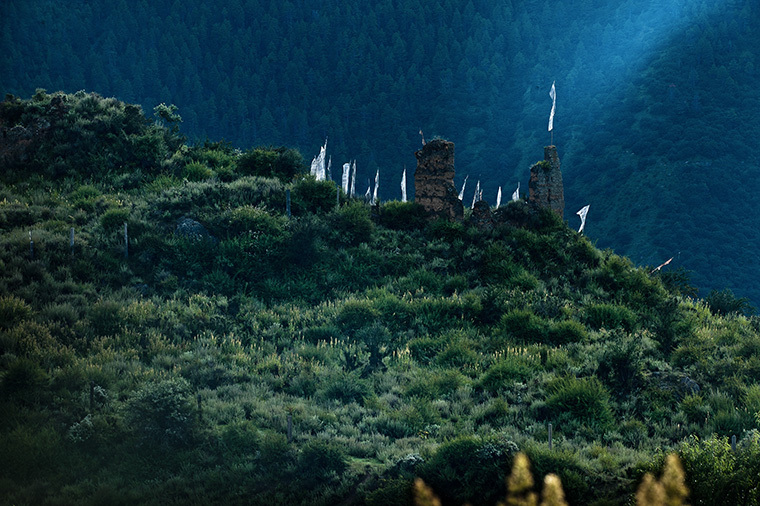 西藏林芝派镇大渡卡风光