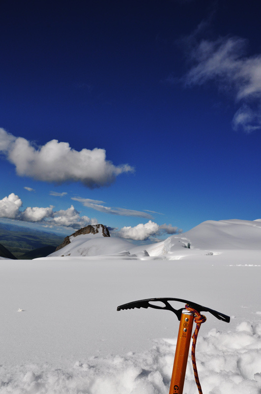 神奇的雪域高原有一种蓝色的莲花,俗称蓝莲花,能使死去的人复活,这花
