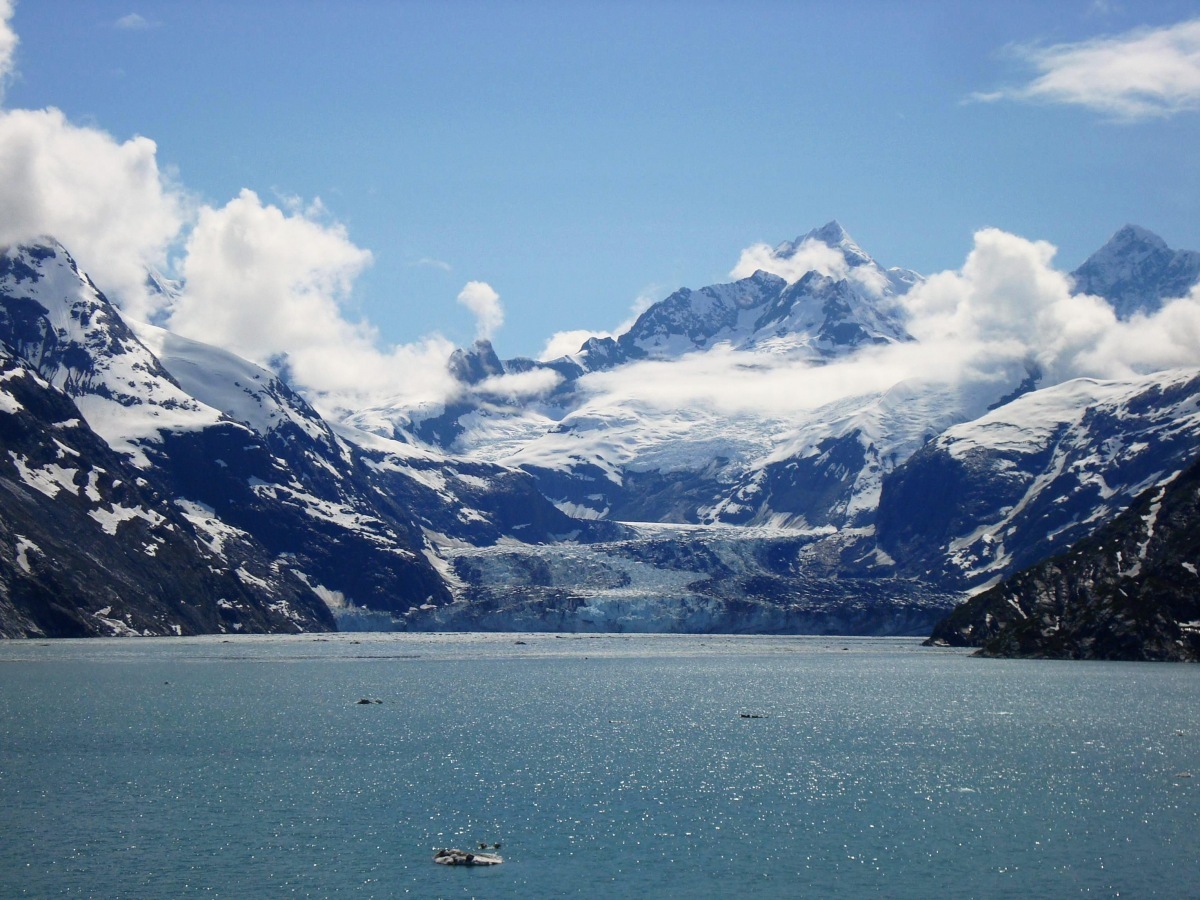 glacier bay 冰川湾国家公园( 本文作者 : 追光逐影 )
