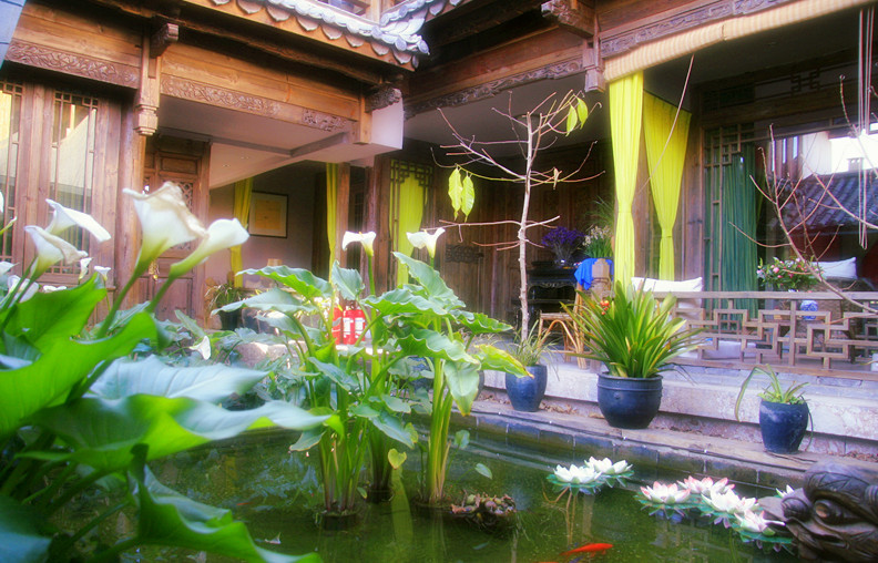 009 - 我和我的自由--观莲静舍 - 户外资料网