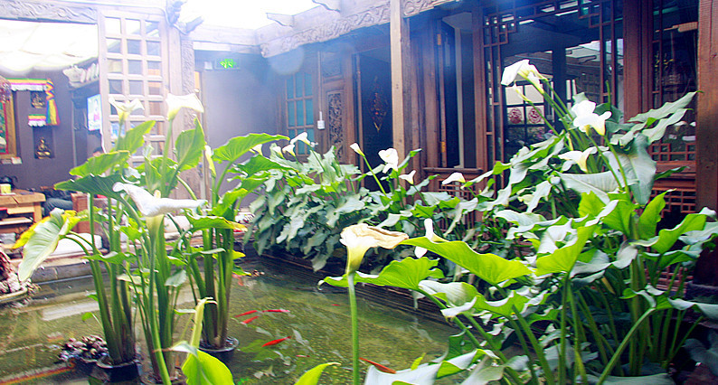 019 - 我和我的自由--观莲静舍 - 户外资料网