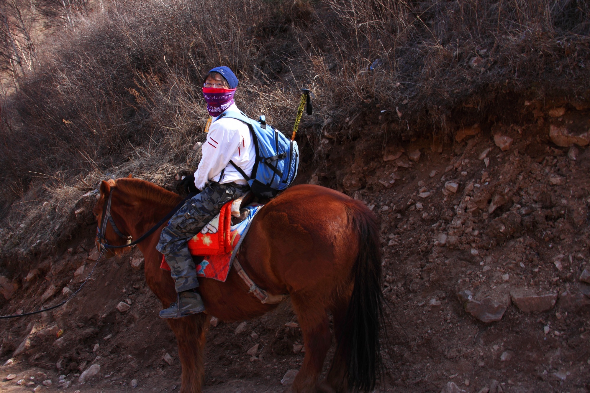 来一张美女骑马图
