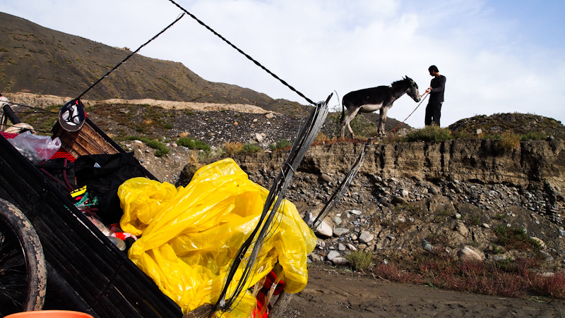 [转帖][人在驴途] (畜力车旅行)赶着驴车去喀什-香港阿凡提的新疆之旅
