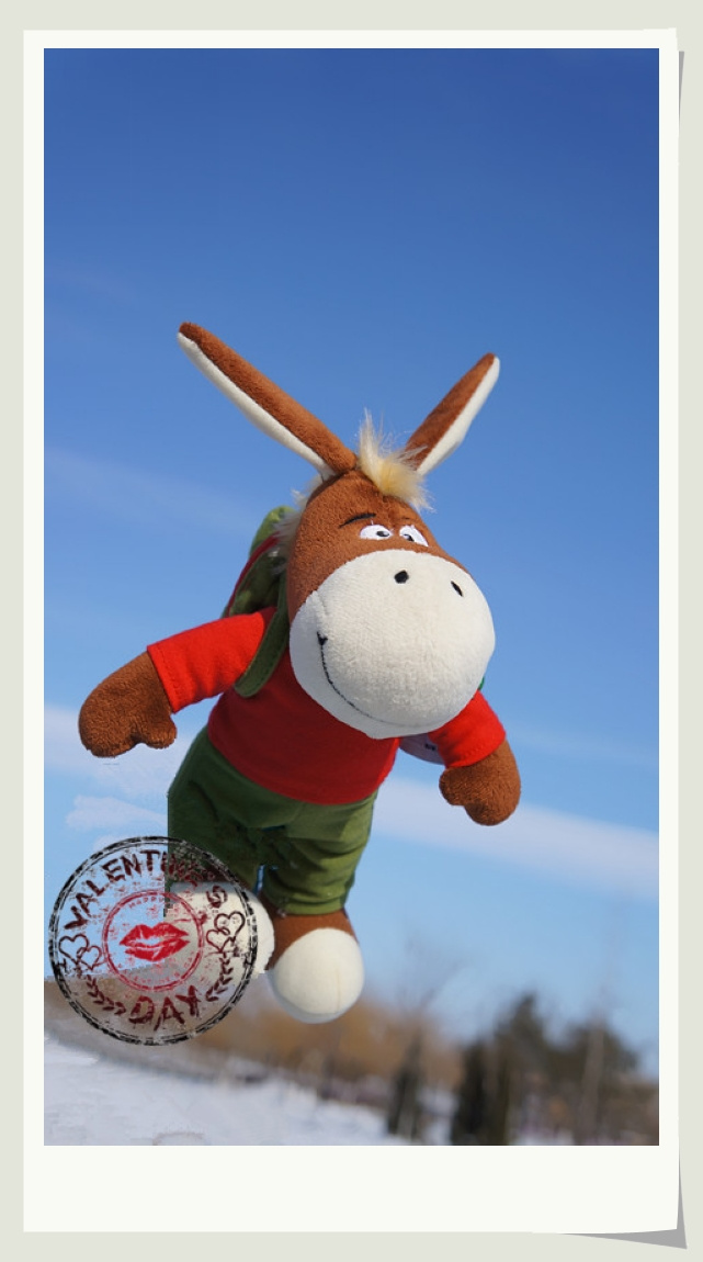 飞天小驴徒步辽滨大桥桥上看风景雪地里喝奶昔