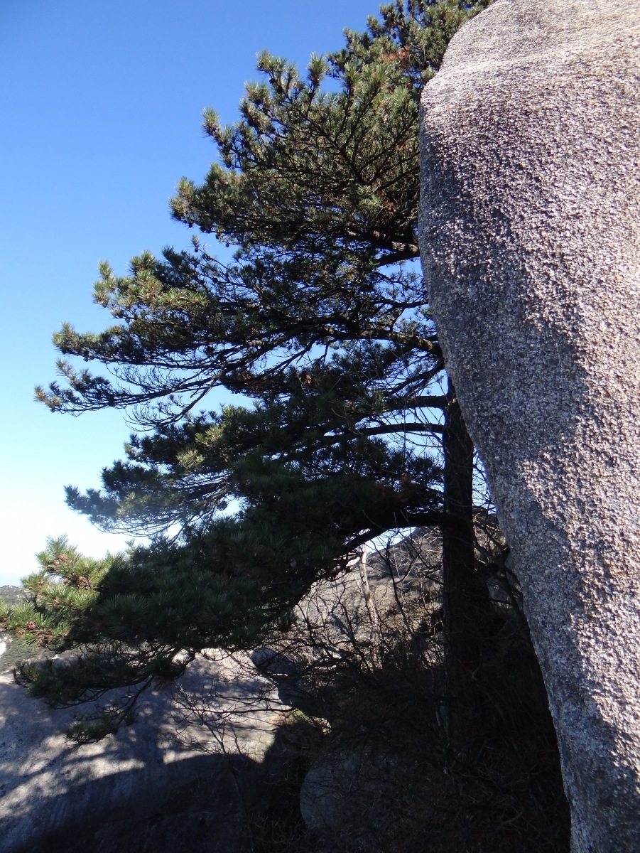 罗汉峰穿饭甄尖