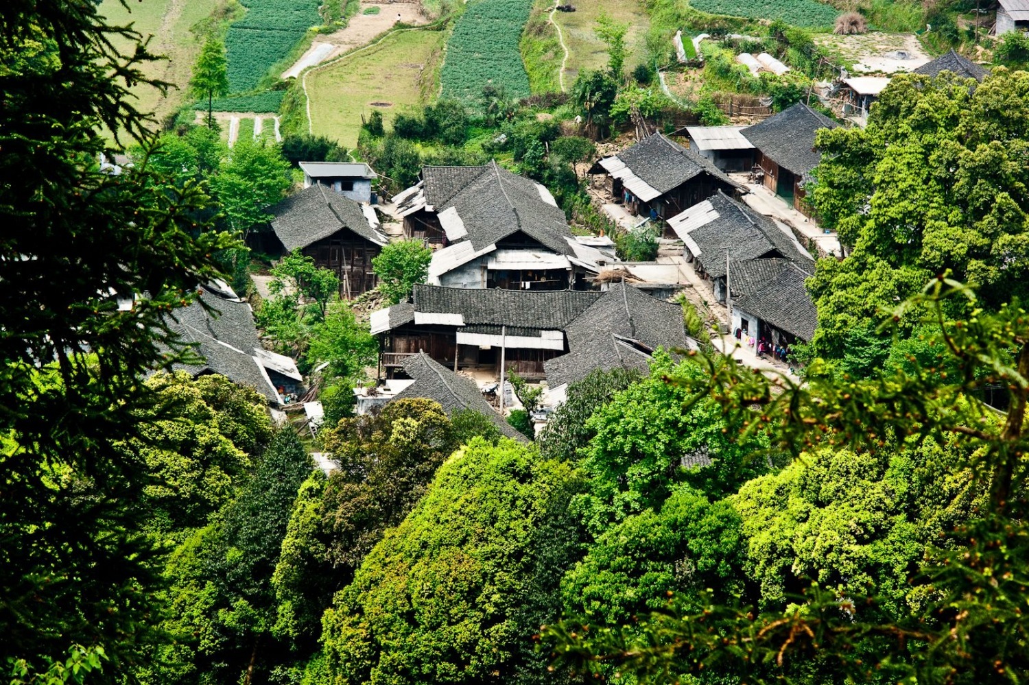 飘在武汉静谧鄂西徐家寨古村古寨古梯田