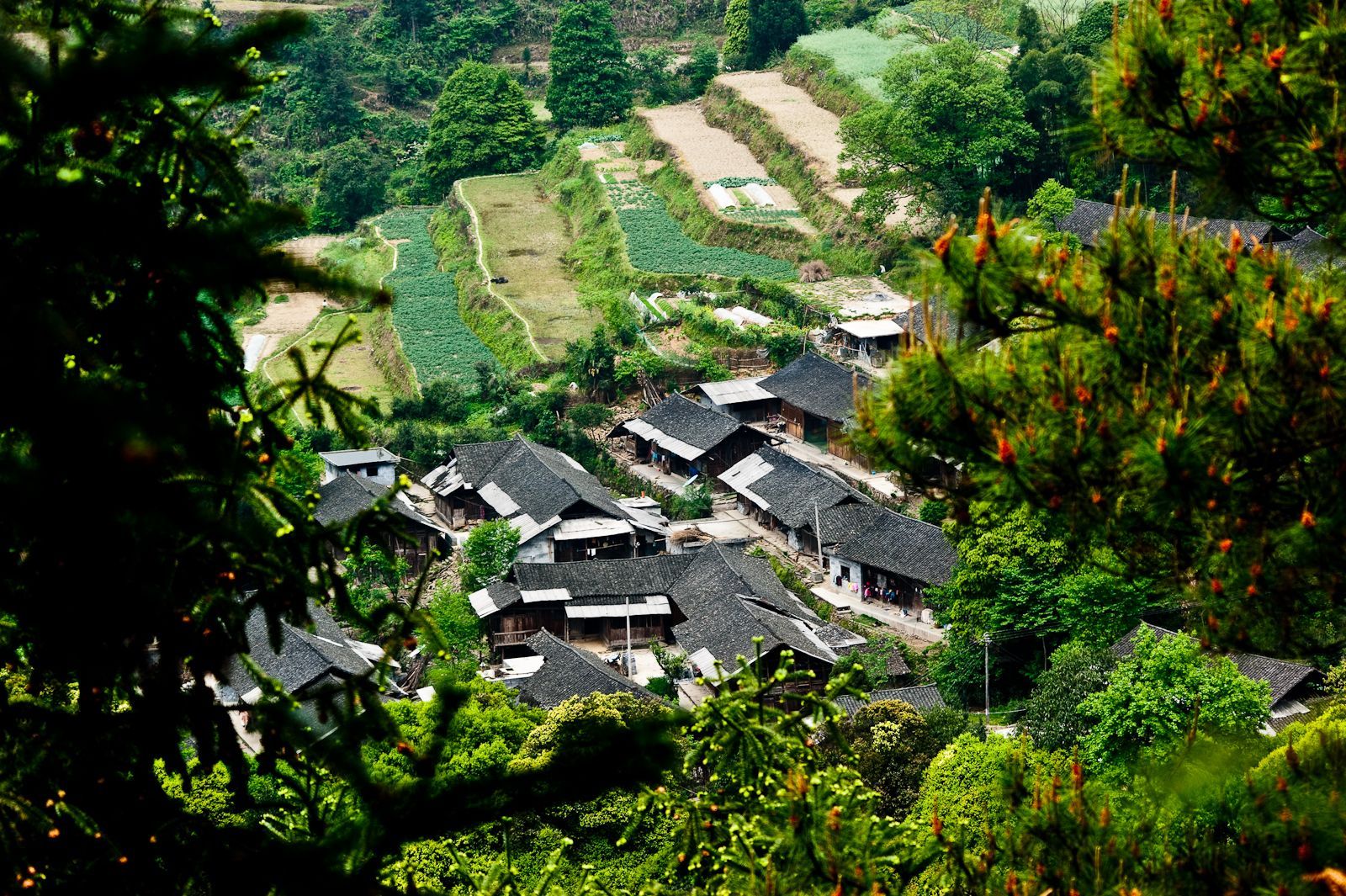 飘在武汉静谧鄂西徐家寨古村古寨古梯田