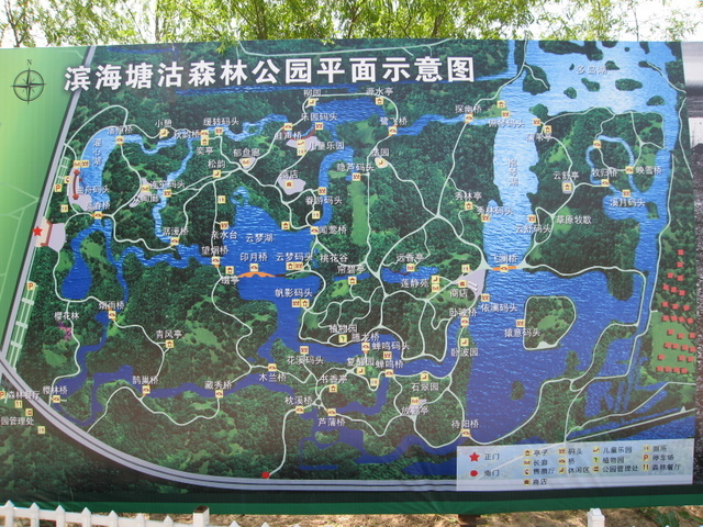 那一片小树林:塘沽森林公园 - 第页 - □-t天津 - 户外资料网