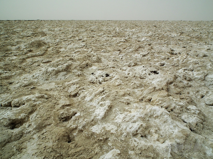 一片干涸的盐壳,没有生命的土地