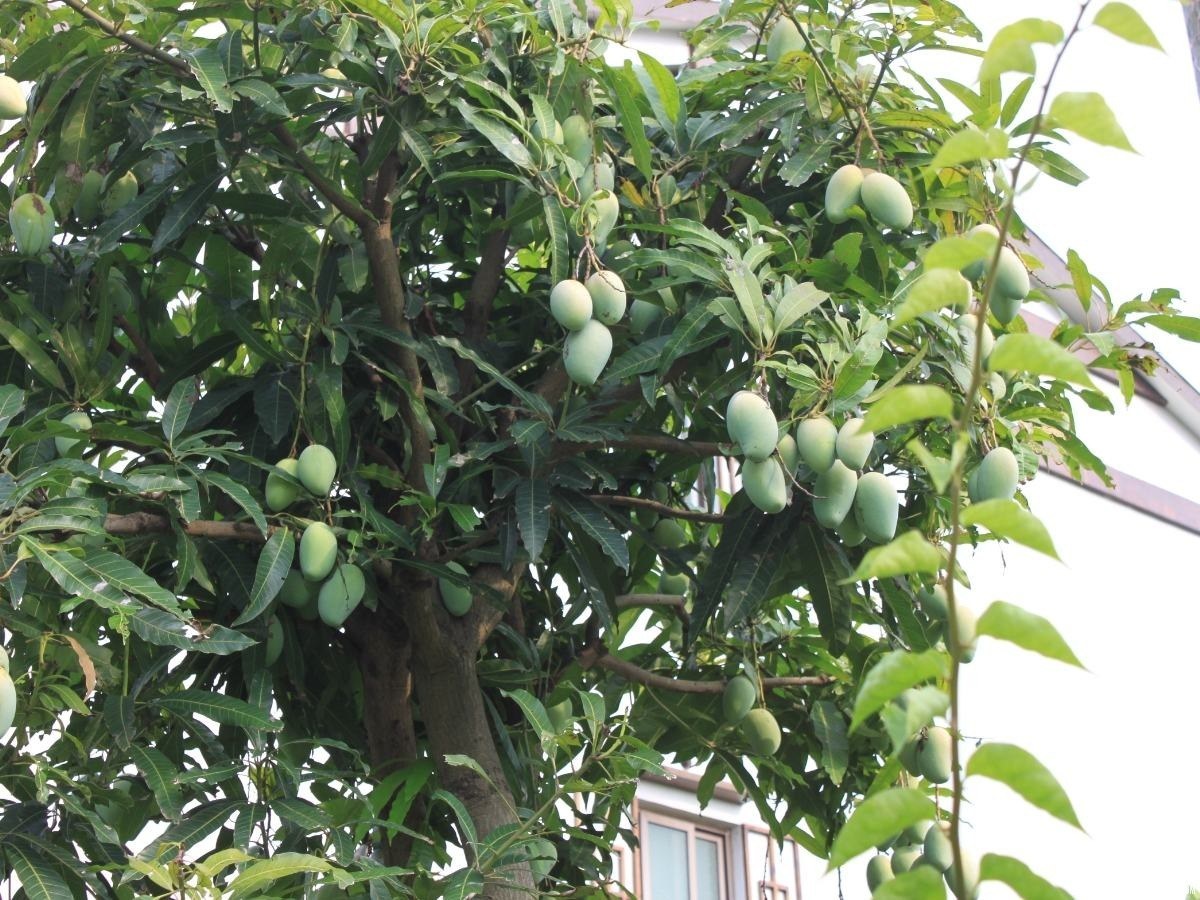 精彩大片是这样诞生的