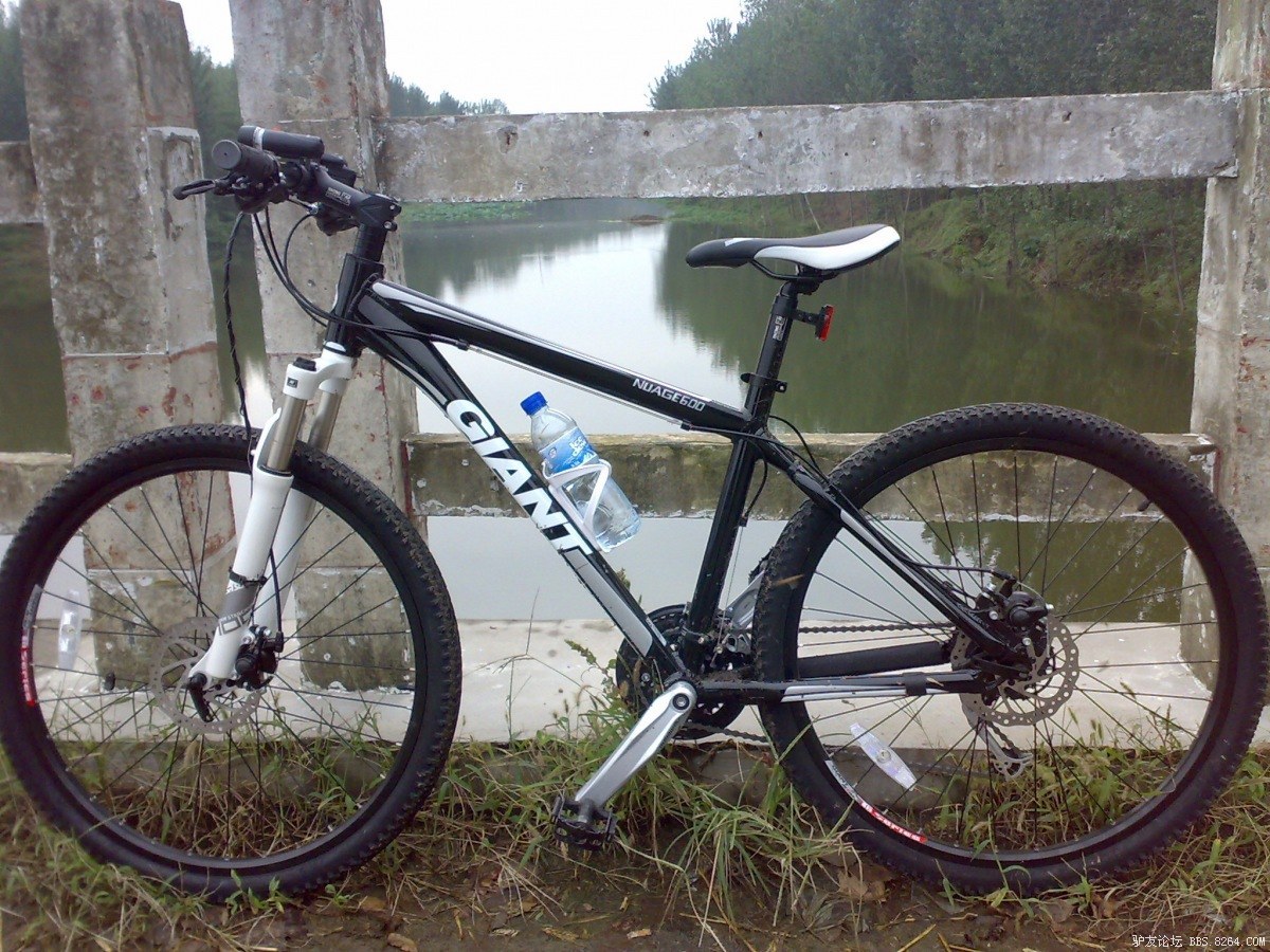 新手入手捷安特nuage600