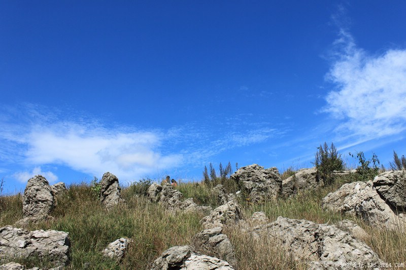 独行昆明龙脉—长虫山