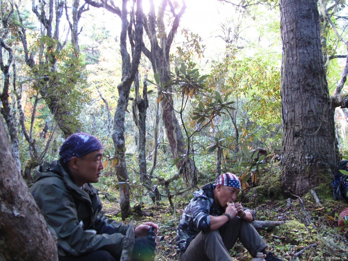 独龙江 独龙族 纹面女