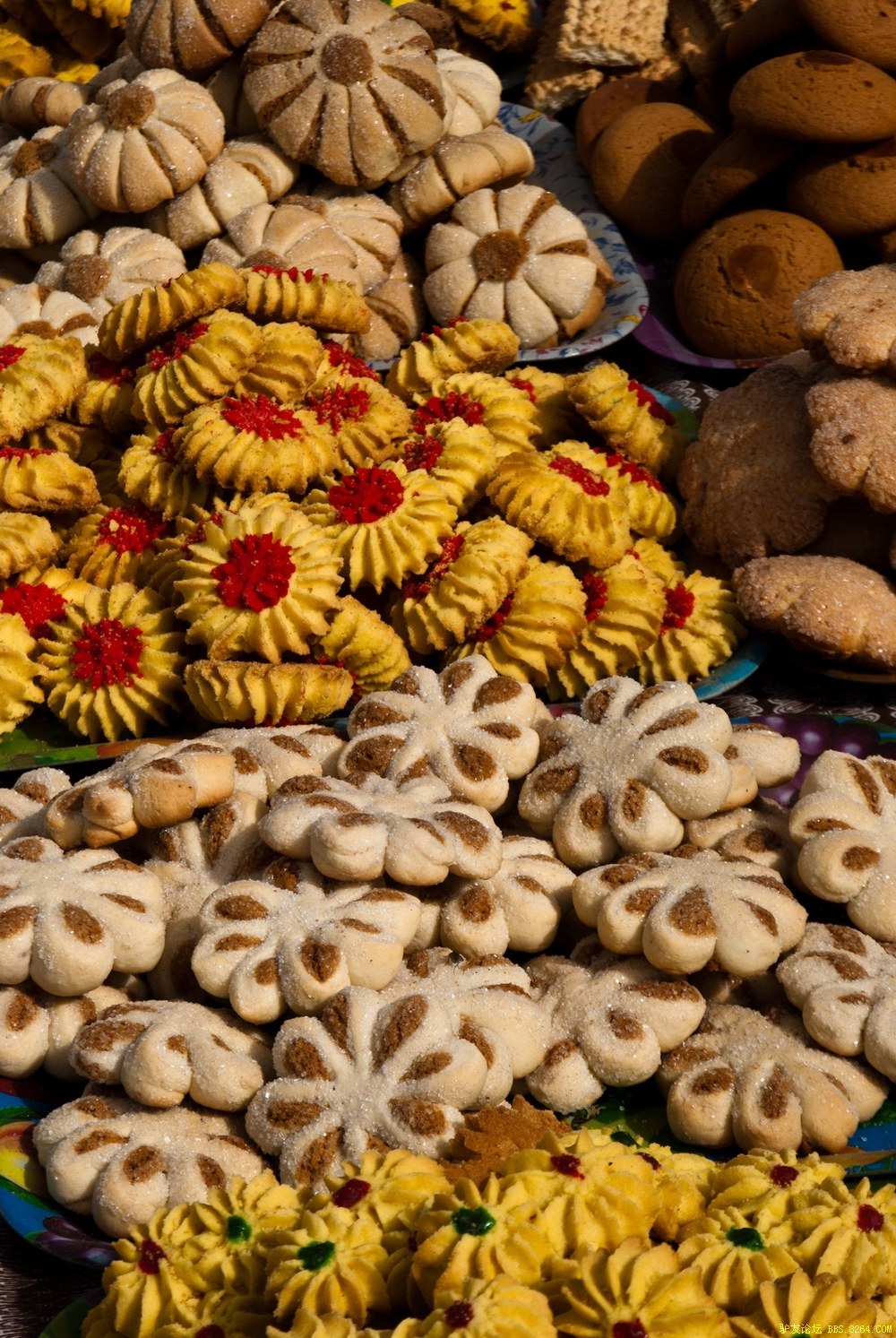 古丝绸之路走走看看——暑期至金秋 青海甘肃新疆 看