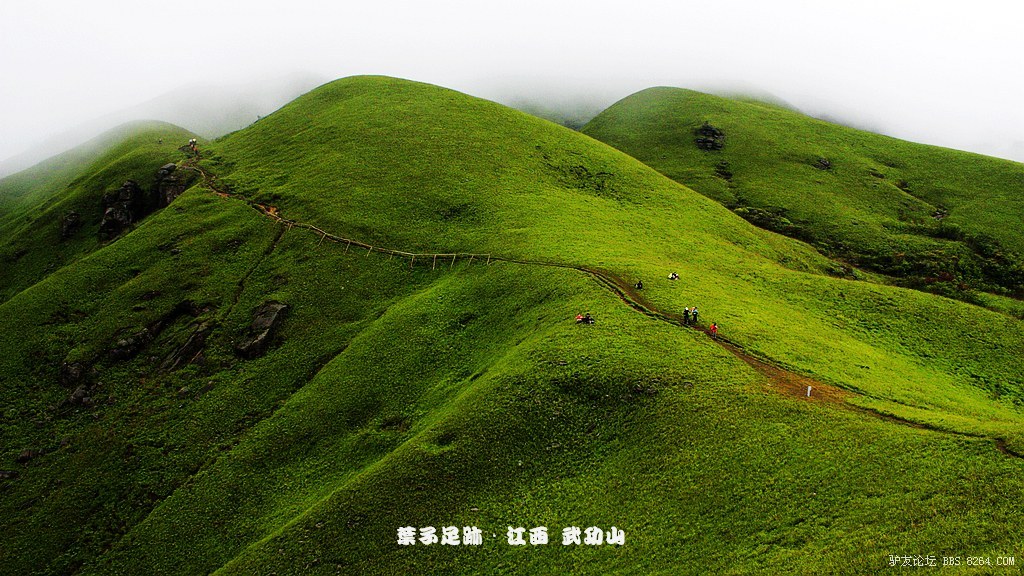 叶子足迹之江西武功山迷人的高山草甸