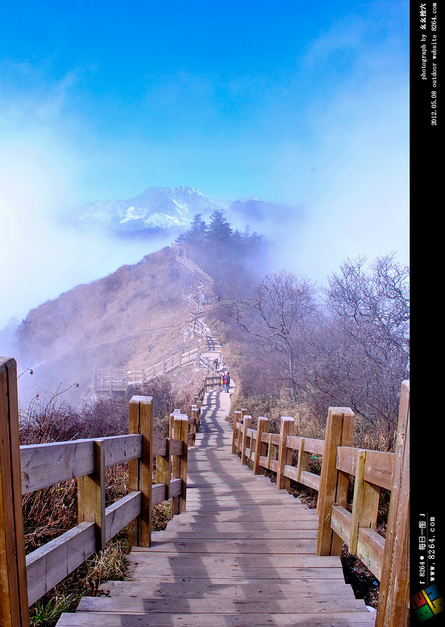 远上寒山石径斜每日一图第407期
