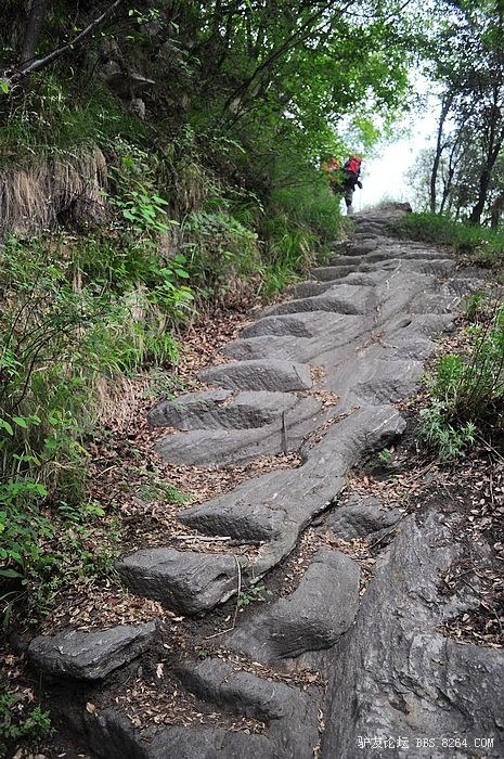 五一重装穿越秦岭大寺
