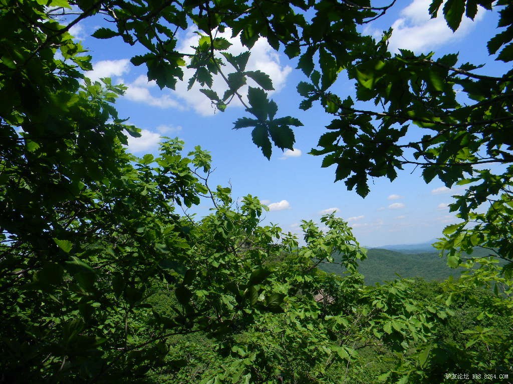 抚顺玉女山 094.jpg